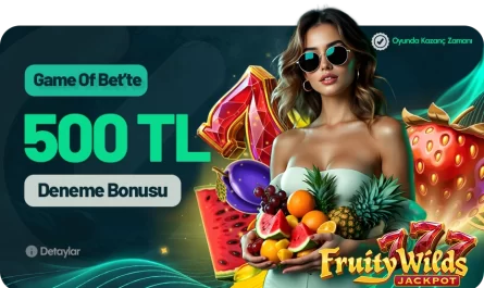 gameofbet papara